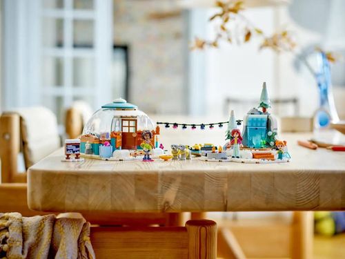 купить Конструктор Lego 41760 Igloo Holiday Adventure в Кишинёве 