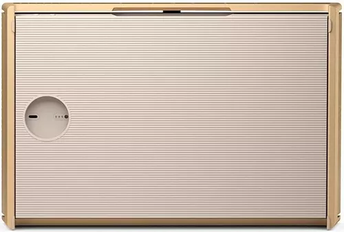 купить Колонка портативная Bluetooth Bang & Olufsen Beosound Level Gold Tone Alu в Кишинёве 