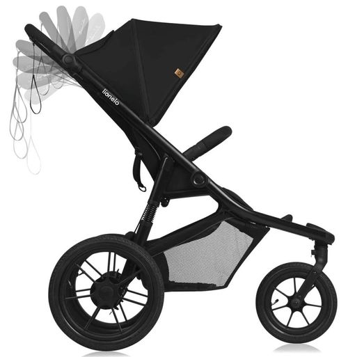 cumpără Сărucior pentru copii Lionelo Azura Black Onyx (3 roti) în Chișinău 