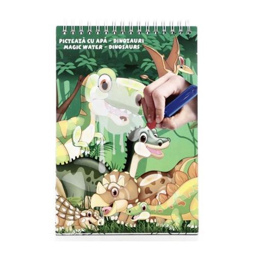 cumpără Set de creație miscellaneous DIN31005 Picteaza cu apa Dinozauri în Chișinău 