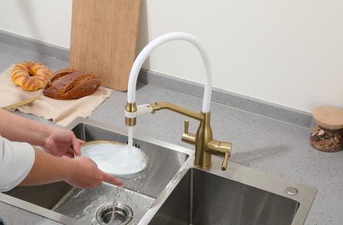 cumpără Bateria bucătărie Frap F 4397-3 (chiuveta plus flexibil) Alama GOLD în Chișinău 