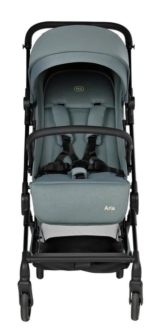 cumpără Сărucior pentru copii Peg Perego IP43000000MB14 Carucior sport Peg Aria Jade în Chișinău 