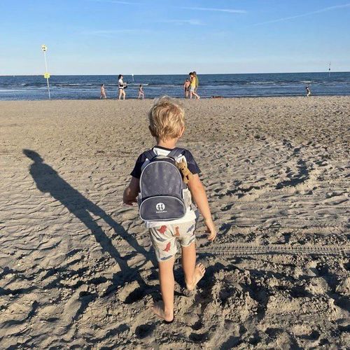 купить Детский рюкзак Petite&Mars 506113 Backie Grey Hills в Кишинёве 