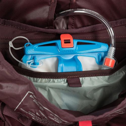 cumpără Rucsac turistic Osprey Kyte 58 Elderberry Purple WM/L în Chișinău 