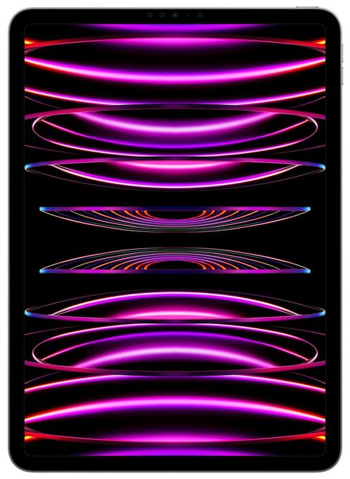 купить Планшетный компьютер Apple New iPad Pro 4Gen.Wi-Fi 11.0" 128GB Space MNXD3 в Кишинёве 