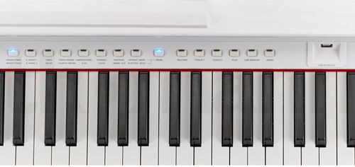 купить Цифровое пианино Hemingway DP-501 MKII WH Alb в Кишинёве 