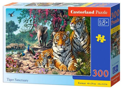 купить Головоломка Castorland Puzzle B-030484 Puzzle 300 elemente в Кишинёве 