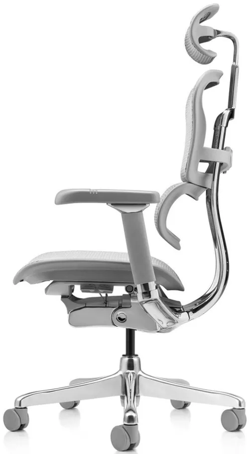 купить Офисное кресло ART Ergohuman Luxury 2 Natural T-168-B2 EHL2-AG-HAM-5D-D в Кишинёве 