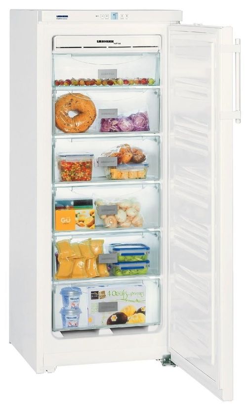 купить Морозильник Liebherr GNP 2313 в Кишинёве 