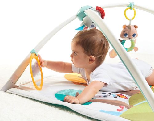 купить Коврик игровой Tiny Love 1205106830 Into The Forest, Gymini Deluxe в Кишинёве 