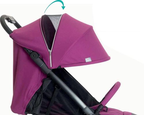 купить Детская коляска Chicco 79885196 We, Ciclamen, 0+ luni в Кишинёве 