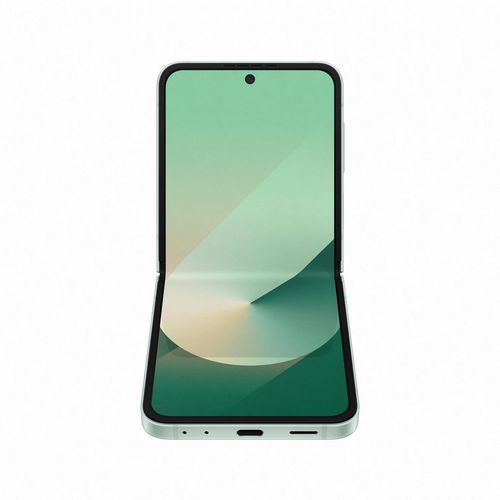 купить Смартфон Samsung F741 Galaxy Flip6 256GB Mint в Кишинёве 