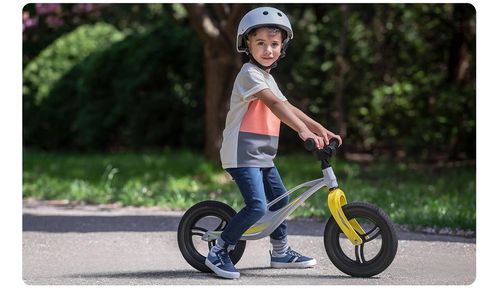 cumpără Bicicletă Lionelo Bart Tour Grey Stone în Chișinău 