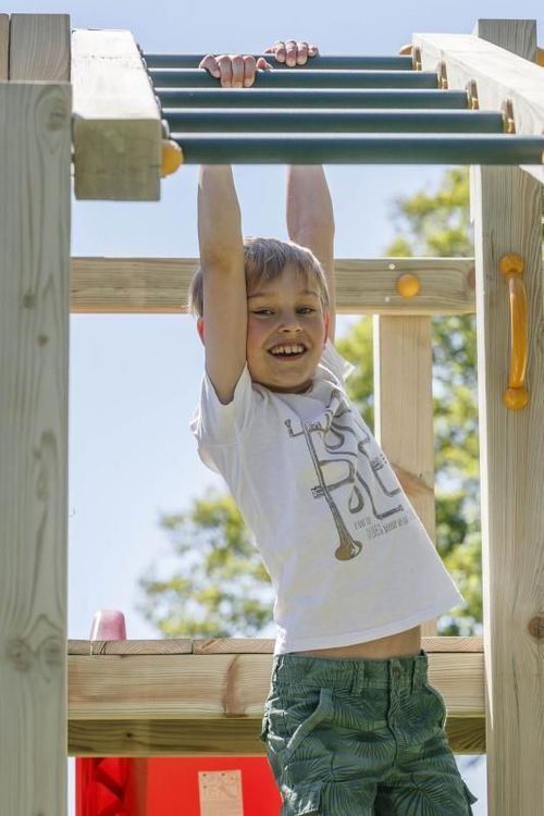 купить Детская площадка PlayPark 1414 CROSSFIT в Кишинёве 