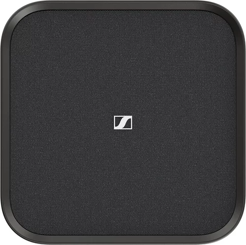 купить Сабвуфер Sennheiser Ambeo SW02 Black в Кишинёве 