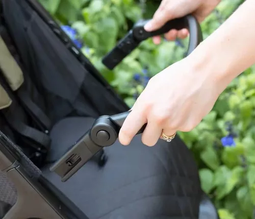 cumpără Сărucior pentru copii Graco Myavo Clover (GS2107BBCVR000) în Chișinău 