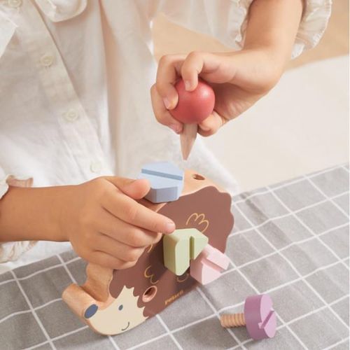 купить Головоломка Viga 44221 Sorter Arici cu șuruburi și șurubelniță в Кишинёве 