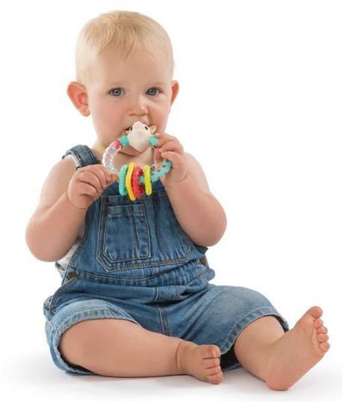 купить Погремушка Sophie la Girafe 010179 Multi-Textured Rattle в Кишинёве 