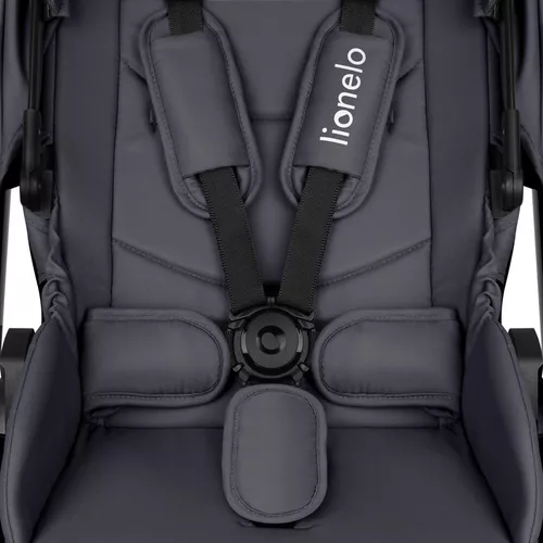 купить Детская коляска Lionelo Carucior 2in1 Layla Grey Stone в Кишинёве 