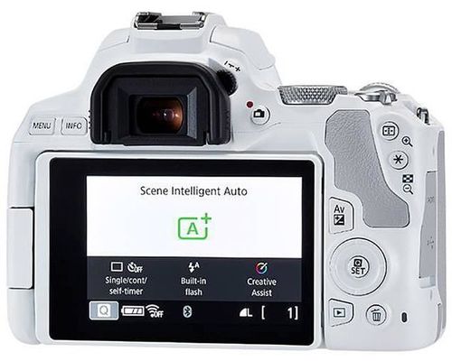 купить Фотоаппарат зеркальный Canon EOS 250D 18-55 f/3.5-5.6 IS STM White в Кишинёве 