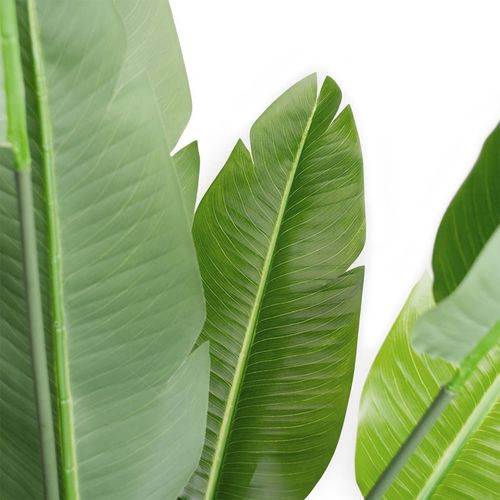 купить Декор Deco Arborele Strelitzia 250 в Кишинёве 