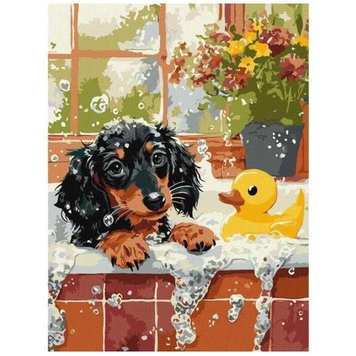 купить Картина по номерам Ideyka (KHO6811) Bathing with a duck, 30х40 в Кишинёве 