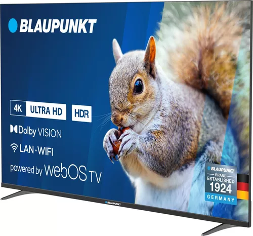 купить Телевизор Blaupunkt 55UB5000 WebOS в Кишинёве 