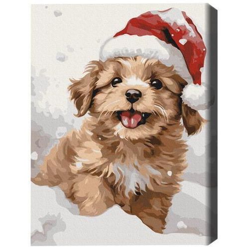 cumpără Tablou pe numere BrushMe BS53838 (în cutie) Cățel acoperit de zăpadă în Chișinău 