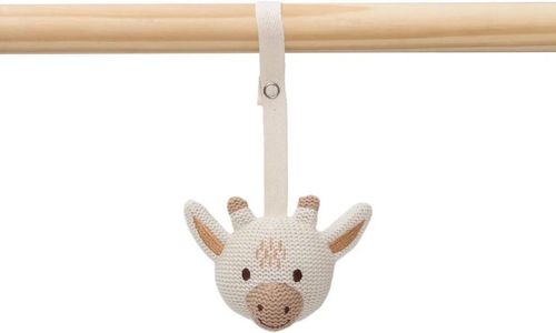 cumpără Jucărie cu pandantiv Jollein 108-001-67083 Set de jucarii pentru Babygym Animals în Chișinău 