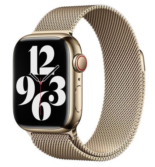 купить Ремешок Apple 41mm Gold Milanese MTJL3 в Кишинёве 