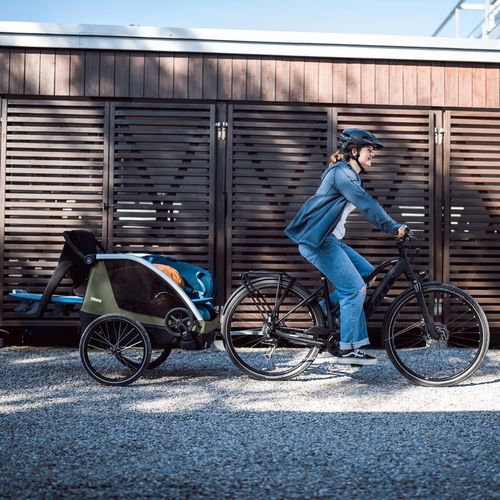 купить Аксессуар для велосипеда THULE Courier pentru transportul cainilor (20301001) в Кишинёве 