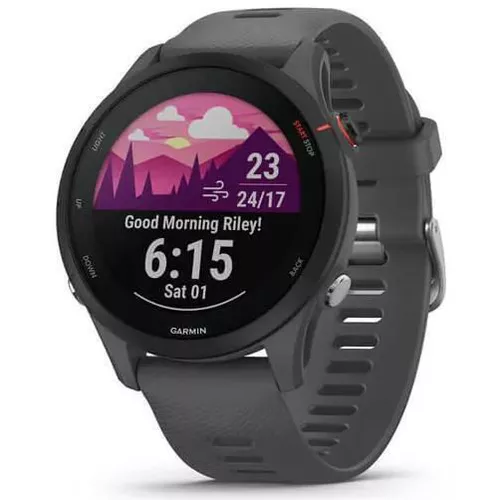 купить Смарт часы Garmin Forerunner 255 Slate Grey (010-02641-10) в Кишинёве 
