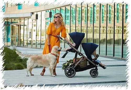 cumpără Accesorii pentru cărucior Cybex 522002719 Sezut suplimentar pentru carucior Gazelle S BLK B Moon Black în Chișinău 