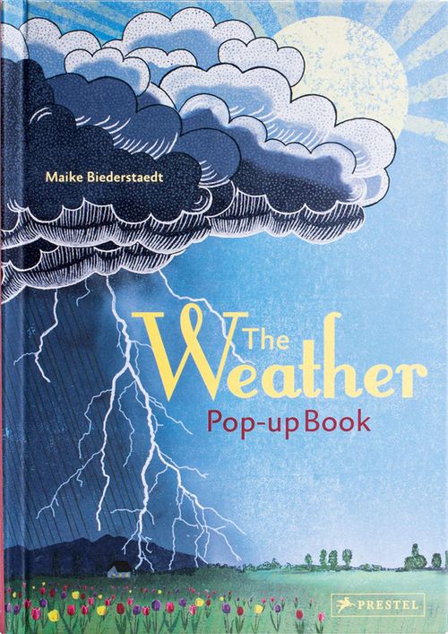 cumpără The Weather Pop-up Book în Chișinău 