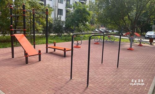 купить Уличный тренажер PlayPark 2256 Bare paralele C-056 в Кишинёве 