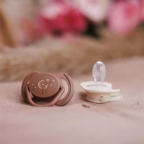 cumpără Suzetă BabyOno 1669/03 Suzete simetrice din silicon 18+ luni (2 buc) în Chișinău 