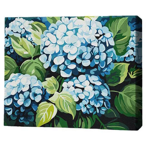 купить Картина по номерам BrushMe RMG0021FC 30x40 см (без упаковки) Облако гортензий в Кишинёве 