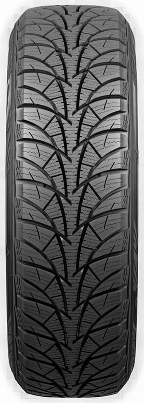 купить Шина Rosava 175/65 R14 82Т SNOWGARD в Кишинёве 