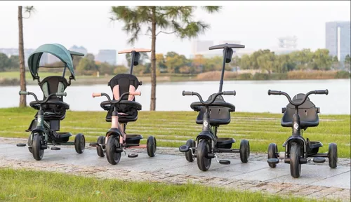 cumpără Bicicletă-cărucior Qplay Elite Platinum Green în Chișinău 