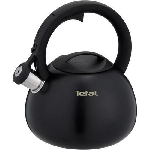 купить Чайник Tefal N4180410 Duetto+ 2,5l в Кишинёве 