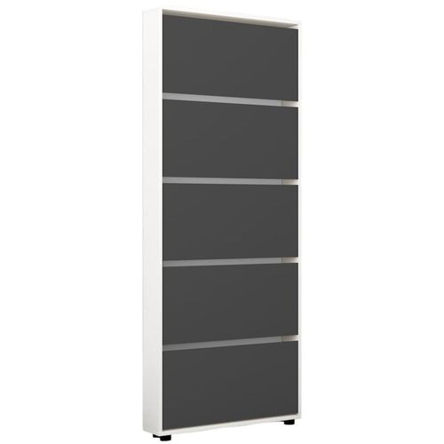 купить Полка для обуви Mobildor-Lux Leo Slim 50x16x203H cm White/Anthracite в Кишинёве 