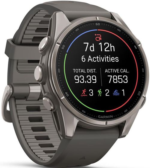 cumpără Ceas inteligent Garmin Fenix 9, 43mm, Bare Ti, Pebble Gray Band (010-04761-11) în Chișinău 