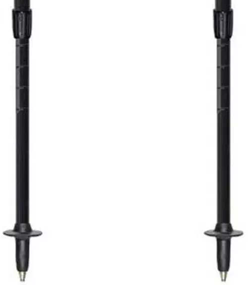 купить Треккинговые палки Masters POCKETREK (01S2225) в Кишинёве 