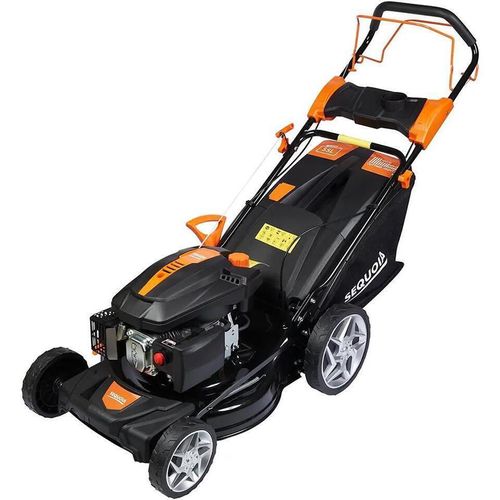 cumpără Mașini de tuns iarba Sequoia SPLM4046 4.0 HP în Chișinău 