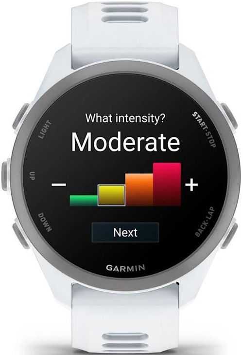 cumpără Ceas inteligent Garmin Forerunner 170 Music, GPS, WiFi, Whitestone/Cloud Blue, WW (010-03920-11) în Chișinău 