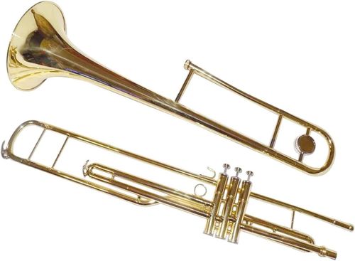 cumpără Instrument muzical de suflat Parrot 6425 L în Chișinău 