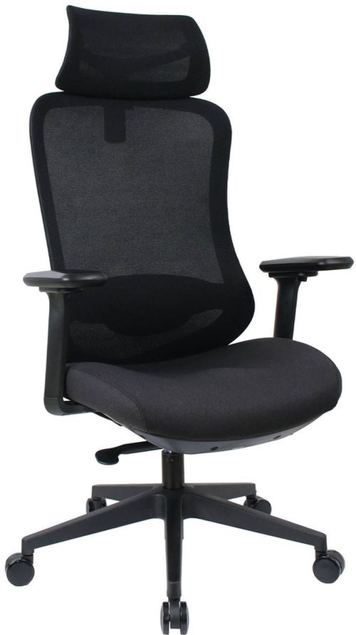 cumpără Fotoliu de birou Deco Palmer Black în Chișinău 