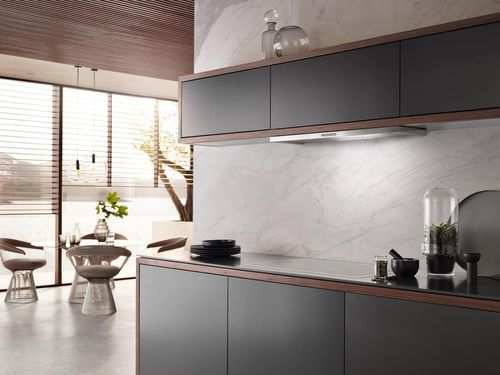 купить Вытяжка Miele DAS 2920 в Кишинёве 