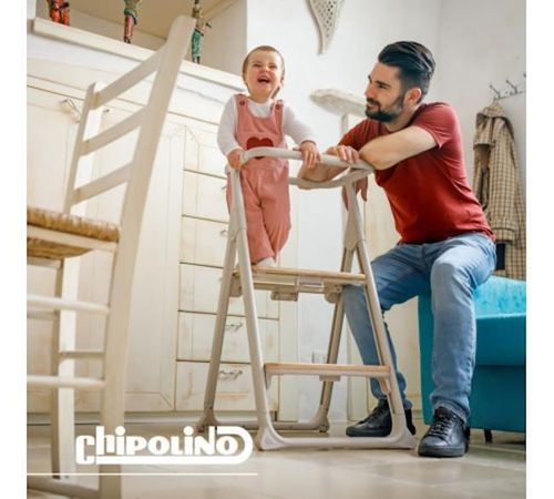 купить Стульчик для кормления Chipolino STHQU02602MA Стул 4in1 QUATRO matcha в Кишинёве 