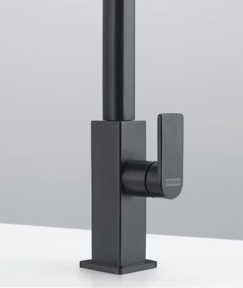 купить Смеситель кухонный Franke 115.0550.442 Mythos Inox Industrial Black в Кишинёве 